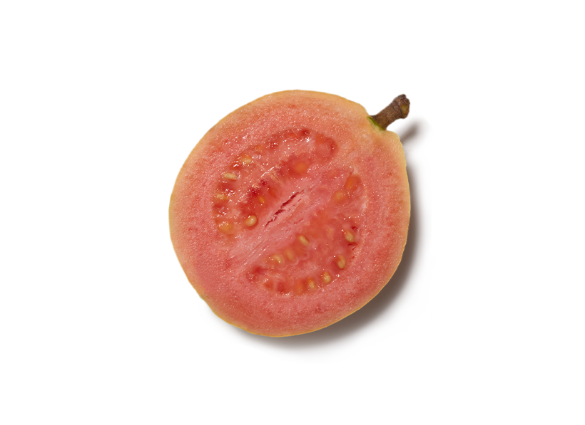 Pink guava half