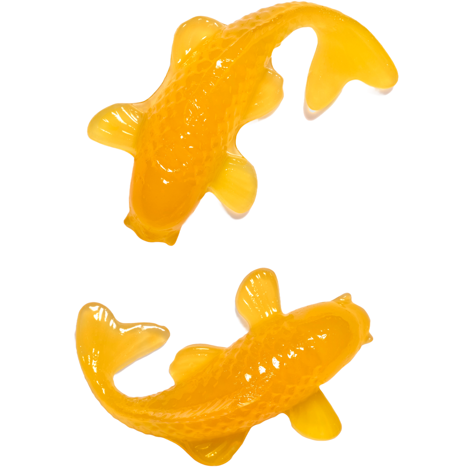 Two orange fish gummy candies