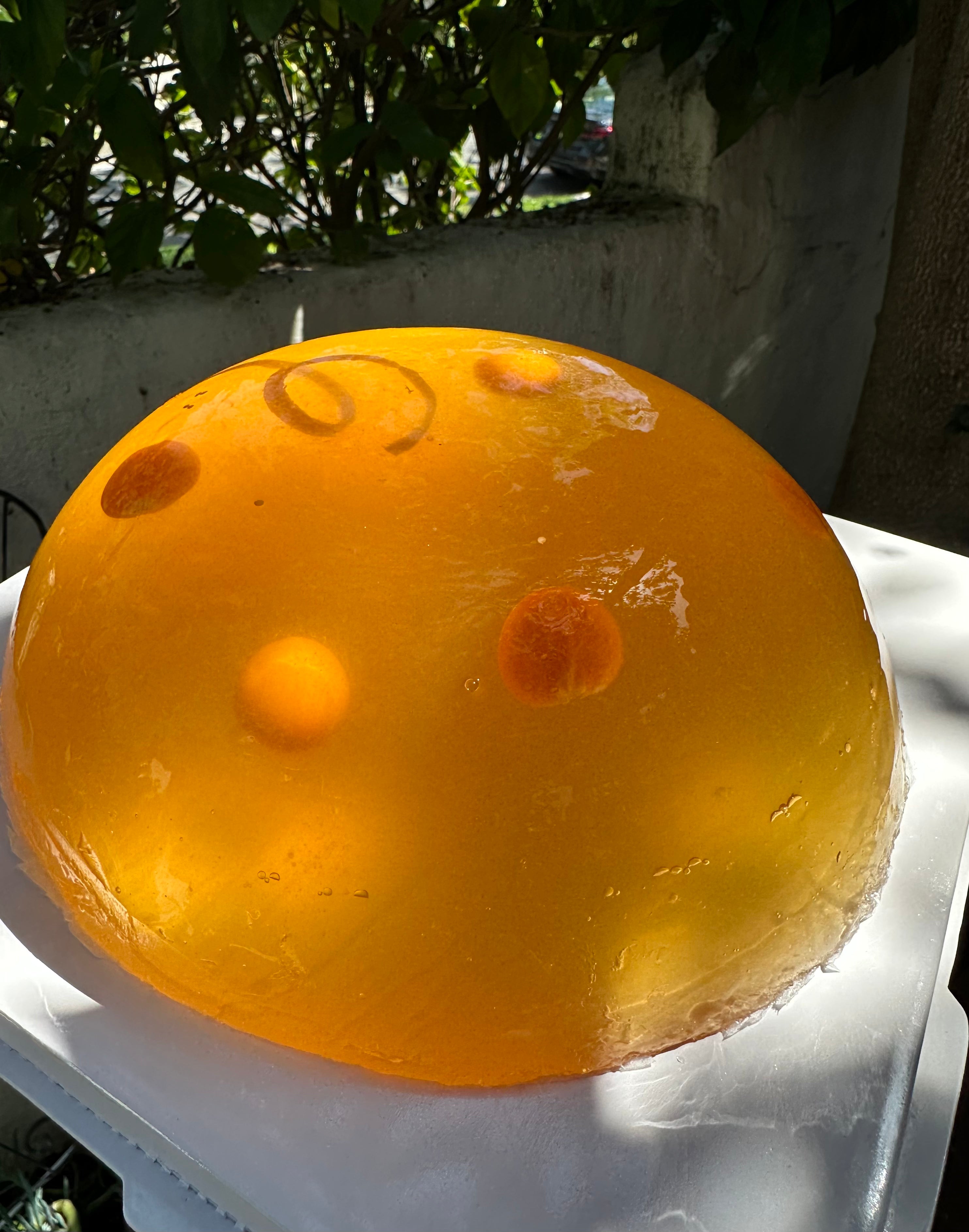 Large round Gelée cake with fruits inside